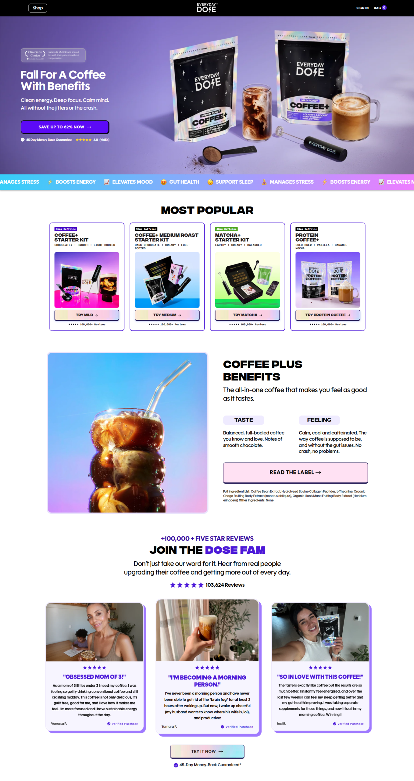 Website preview of Website Project 01
